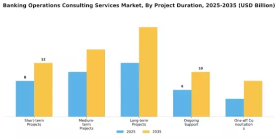 Banking Operations Consulting Services Market Segment Image 2