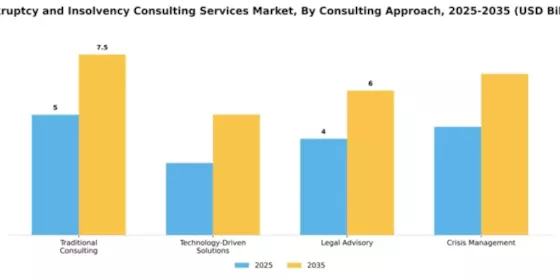 Bankruptcy and Insolvency Consulting Services Market Segment Image 1