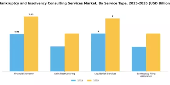 Bankruptcy and Insolvency Consulting Services Market Segment Image 3