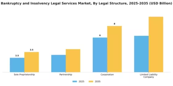 Bankruptcy and Insolvency Legal Services Market Segment Image 3