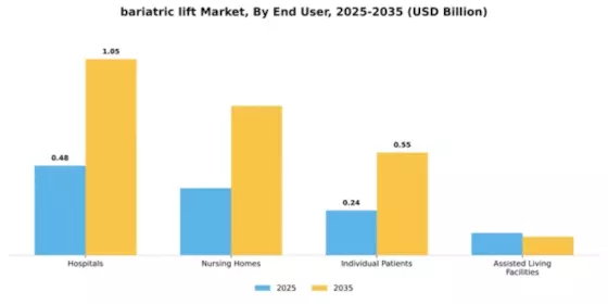 Bariatric Lift Market Segment Image 1
