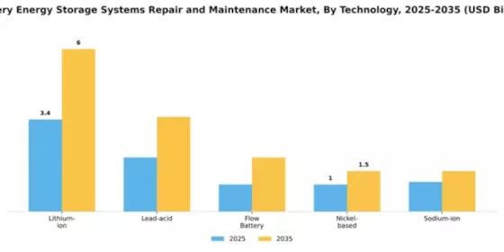 Battery Energy Storage Systems Repair and Maintenance Market Segment Image 4