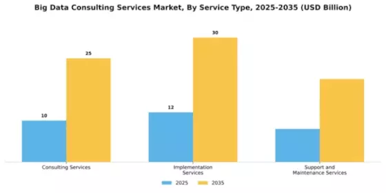 Big Data Consulting Services Market Segment Image 4
