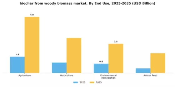 Biochar From Woody Biomass Market Segment Image 1