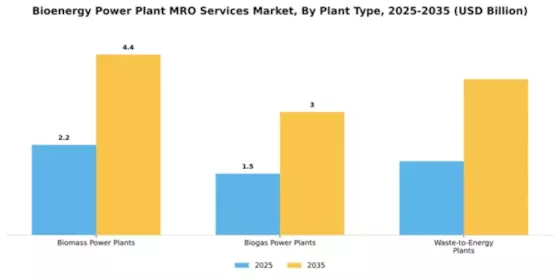 Bioenergy Power Plant MRO Services Market Segment Image 1
