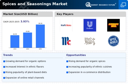 Spices Seasonings Market Infographic
