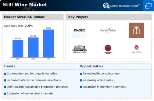 Still Wine Market Infographic