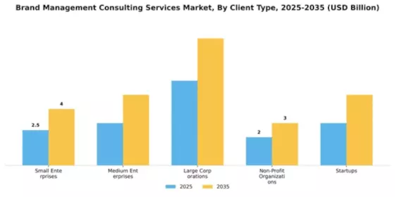Brand Management Consulting Services Market Segment Image 0