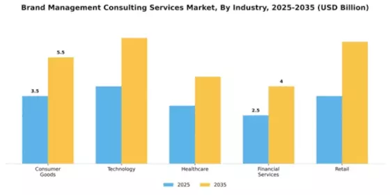 Brand Management Consulting Services Market Segment Image 1