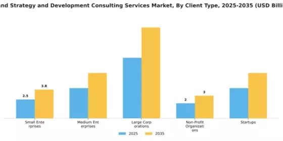 Brand Strategy and Development Consulting Services Market Segment Image 0
