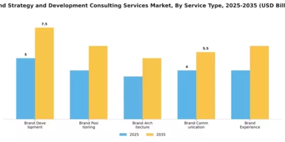 Brand Strategy and Development Consulting Services Market Segment Image 2