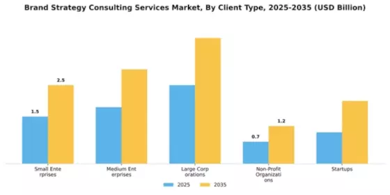Brand Strategy Consulting Services Market Segment Image 0