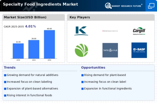 Specialty Food Ingredients Market Infographic