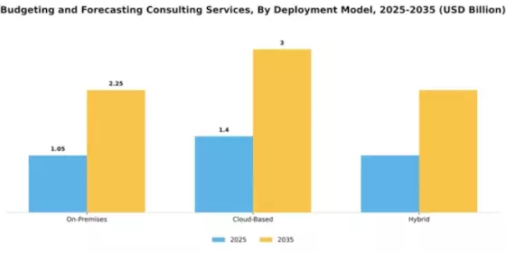 Budgeting and Forecasting Consulting Services Market Segment Image 1