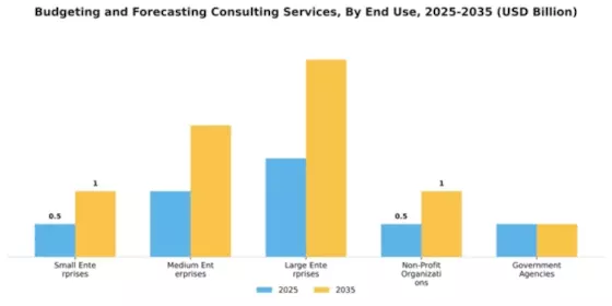 Budgeting and Forecasting Consulting Services Market Segment Image 2