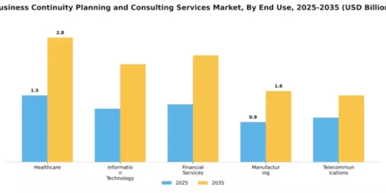 Business Continuity Planning and Consulting Services Market Segment Image 2