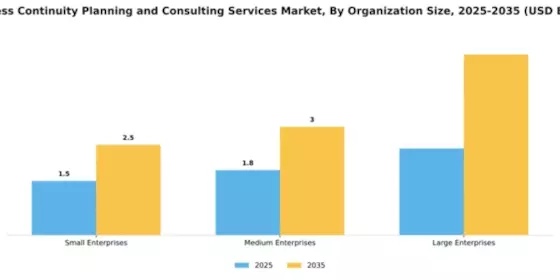 Business Continuity Planning and Consulting Services Market Segment Image 3