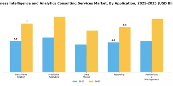 Business Intelligence and Analytics Consulting Services Market Segment Image 0