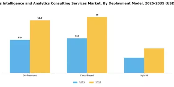 Business Intelligence and Analytics Consulting Services Market Segment Image 1