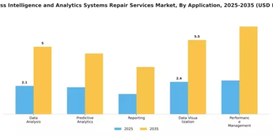 Business Intelligence and Analytics Systems Repair Services Market Segment Image 0