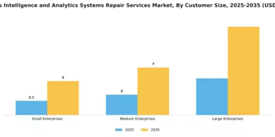 Business Intelligence and Analytics Systems Repair Services Market Segment Image 1