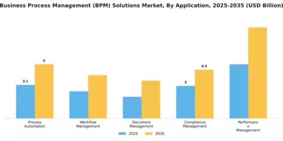 Business Process Management (BPM) Solutions Market Segment Image 0