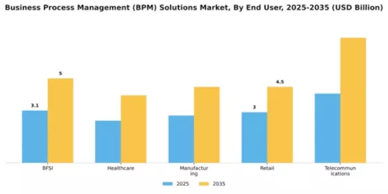 Business Process Management (BPM) Solutions Market Segment Image 2
