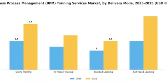 Business Process Management (BPM) Training Services Market Segment Image 1