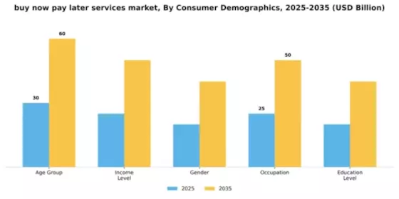 Buy Now Pay Later Services Market Segment Image 1