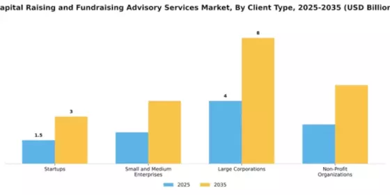 Capital Raising and Fundraising Advisory Services Market Segment Image 0
