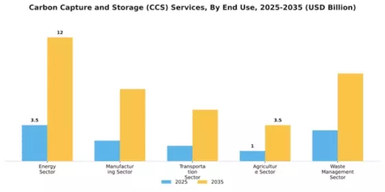 Carbon Capture and Storage (CCS) Services Market Segment Image 1