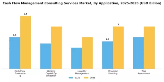 Cash Flow Management Consulting Services Market Segment Image 0