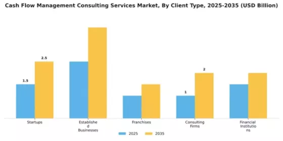 Cash Flow Management Consulting Services Market Segment Image 1