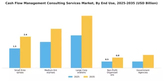Cash Flow Management Consulting Services Market Segment Image 2