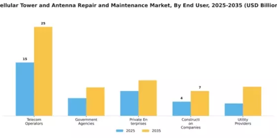 Cellular Tower and Antenna Repair and Maintenance Market Segment Image 1