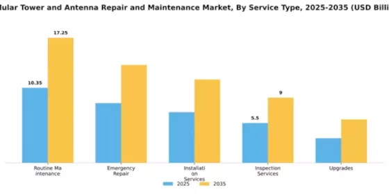 Cellular Tower and Antenna Repair and Maintenance Market Segment Image 2
