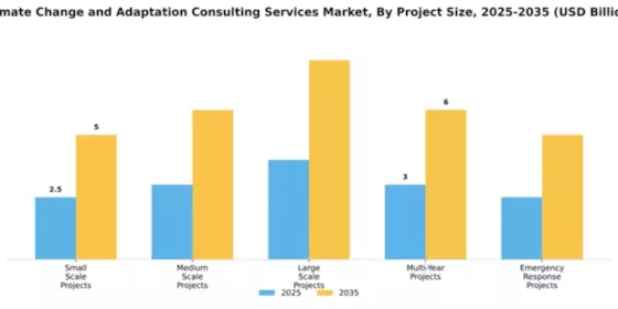 Climate Change and Adaptation Consulting Services Market Segment Image 2