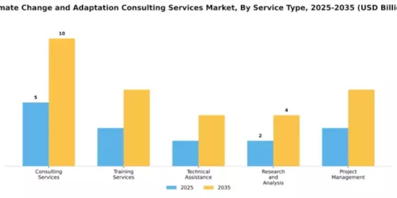 Climate Change and Adaptation Consulting Services Market Segment Image 4