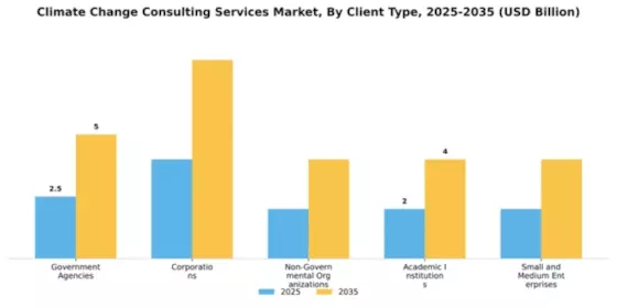 Climate Change Consulting Services Market Segment Image 0