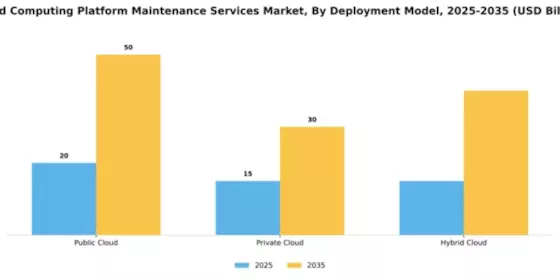 Cloud Computing Platform Maintenance Services Market Segment Image 0