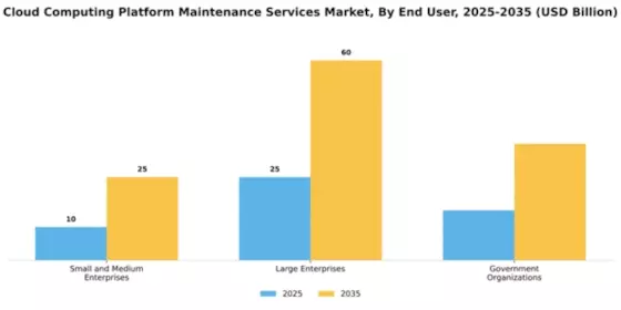 Cloud Computing Platform Maintenance Services Market Segment Image 1