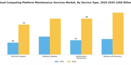Cloud Computing Platform Maintenance Services Market Segment Image 3