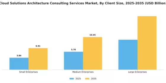 Cloud Solutions Architecture Consulting Services Market Segment Image 0