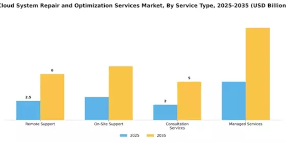 Cloud System Repair and Optimization Services Market Segment Image 4