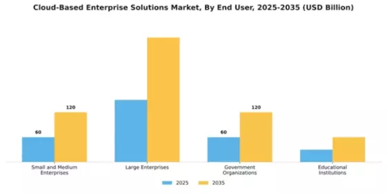 Cloud-Based Enterprise Solutions Market Segment Image 1