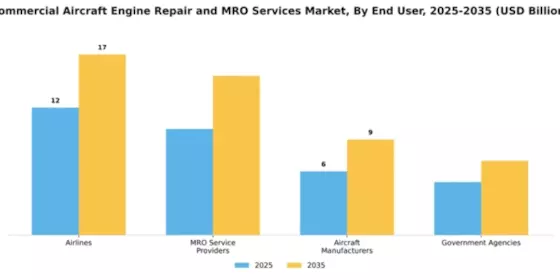 Commercial Aircraft Engine Repair and MRO Services Market Segment Image 1