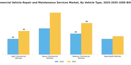 Commercial Vehicle Repair and Maintenance Services Market Segment Image 3
