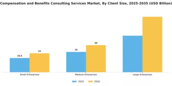 Compensation and Benefits Consulting Services Market Segment Image 0