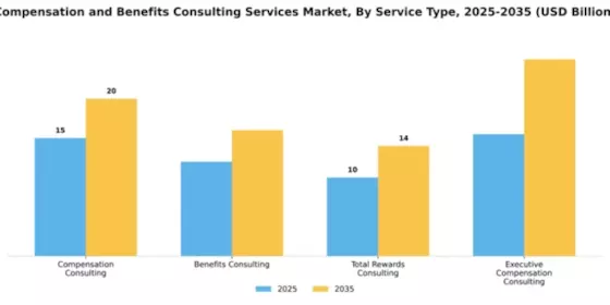 Compensation and Benefits Consulting Services Market Segment Image 4