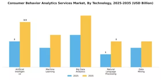 Consumer Behavior Analytics Services Market Segment Image 4